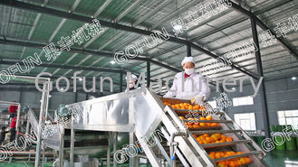 Professional Tangerine Citrus Processing Equipment 5T/H  ISO Certificate