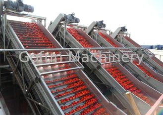 SUS304 Automatic Tomato Paste Production Line One Stop Service