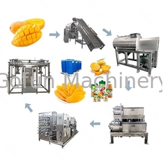 1 - 20 t/h Mango Puree Processing Line  High Efficiency Energy Saving