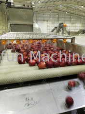 Industrial Apple Processing Line For Jam 400T/D SUS304