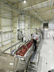 Stainless Steel 316 Apple Juice Processing Line 50Hz With Water Recycle System